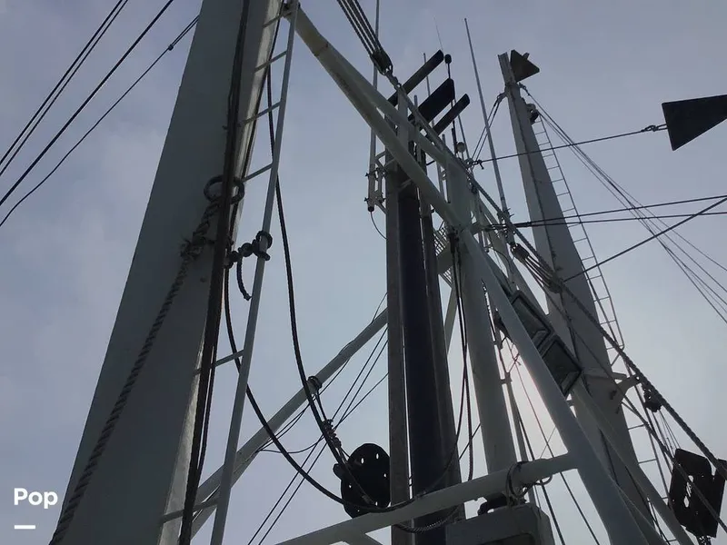 Slide: The Image of Rodriguez 81 1986 - 13674036