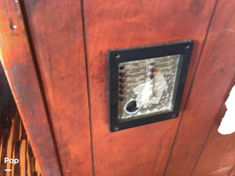 Slide: The Image of Rodriguez 81 1986 - 13665898