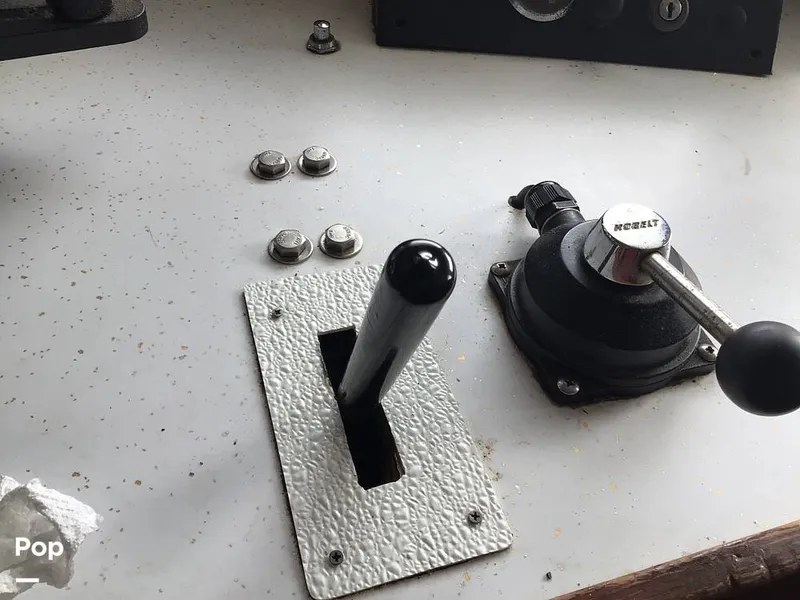 Slide: The Image of Rodriguez 81 1986 - 13665900