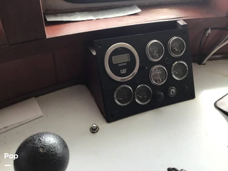 Slide: The Image of Rodriguez 81 1986 - 13665905