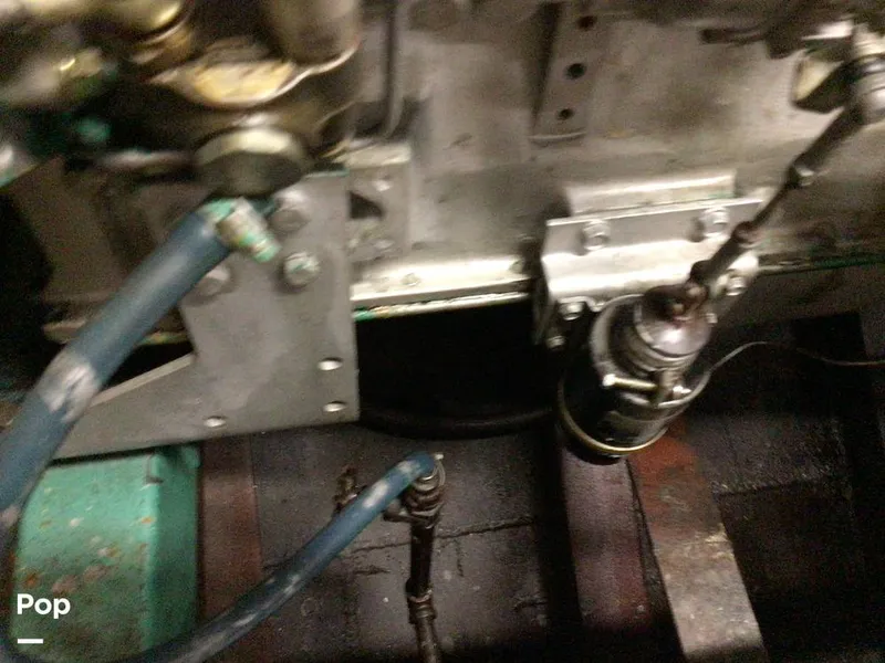 Slide: The Image of Rodriguez 81 1986 - 13674018