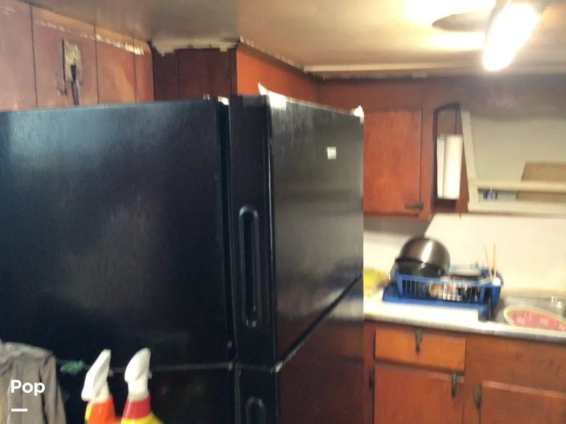 Slide: The Image of Rodriguez 81 1986 - 13674021