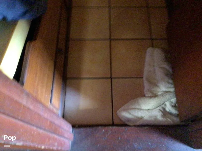 Slide: The Image of Rodriguez 81 1986 - 13674026