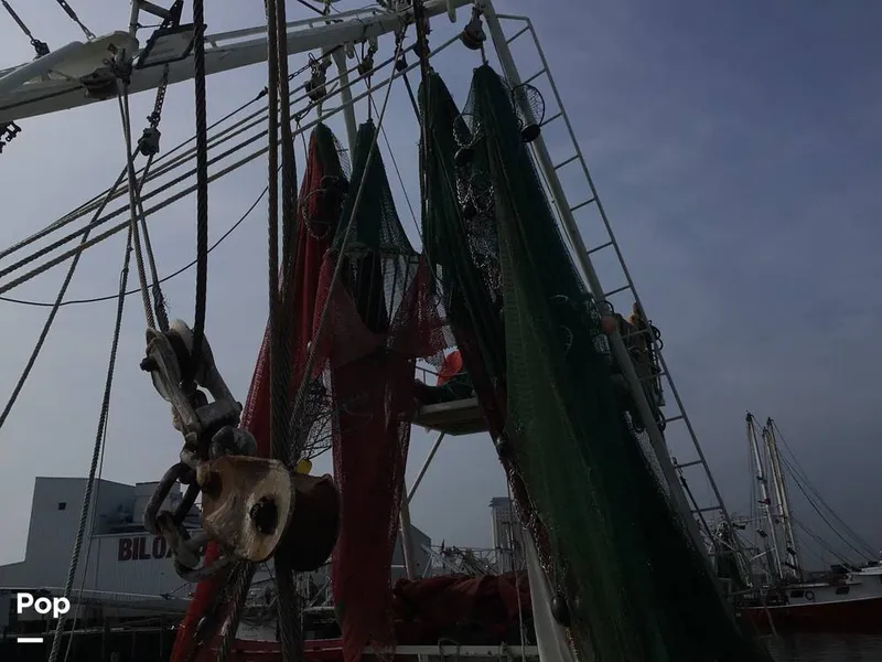 Slide: The Image of Rodriguez 81 1986 - 13674037