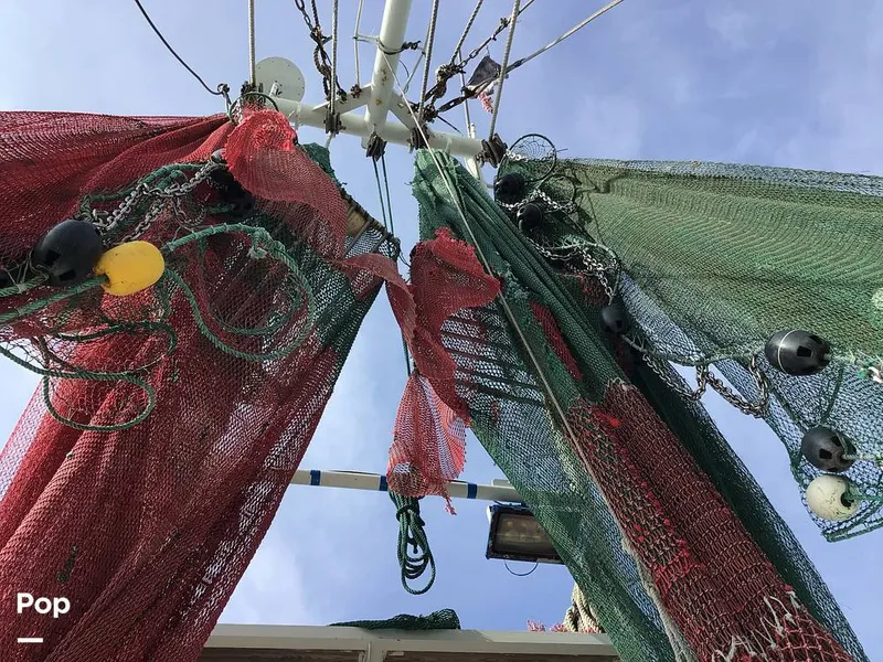 Slide: The Image of Rodriguez 81 1986 - 13665552