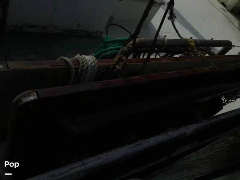 Slide: The Image of Rodriguez 81 1986 - 13674042