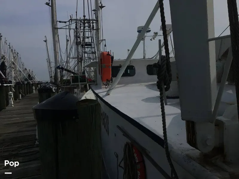 Slide: The Image of Rodriguez 81 1986 - 13674043