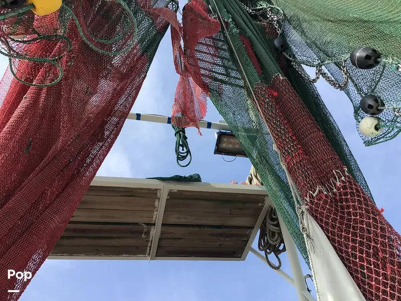 Slide: The Image of Rodriguez 81 1986 - 13665553