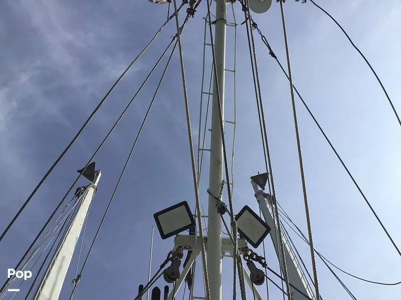 Slide: The Image of Rodriguez 81 1986 - 13665563