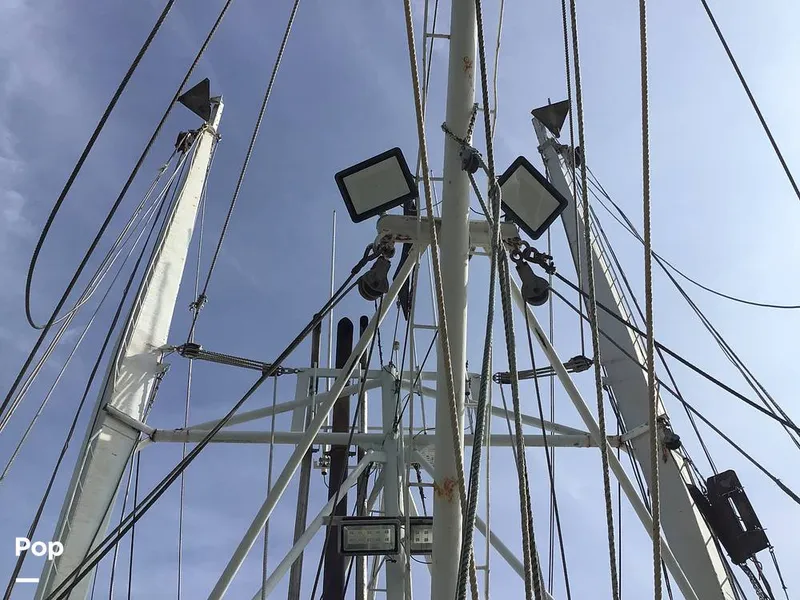 Slide: The Image of Rodriguez 81 1986 - 13665564