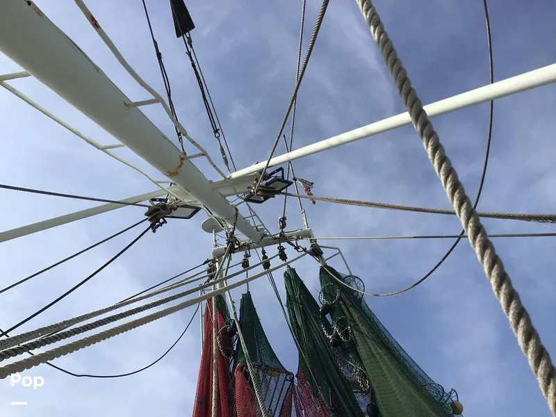 Slide: The Image of Rodriguez 81 1986 - 13665593