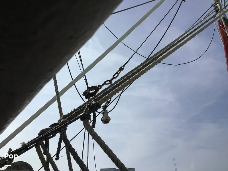 Slide: The Image of Rodriguez 81 1986 - 13665594