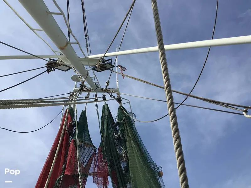 Slide: The Image of Rodriguez 81 1986 - 13665596