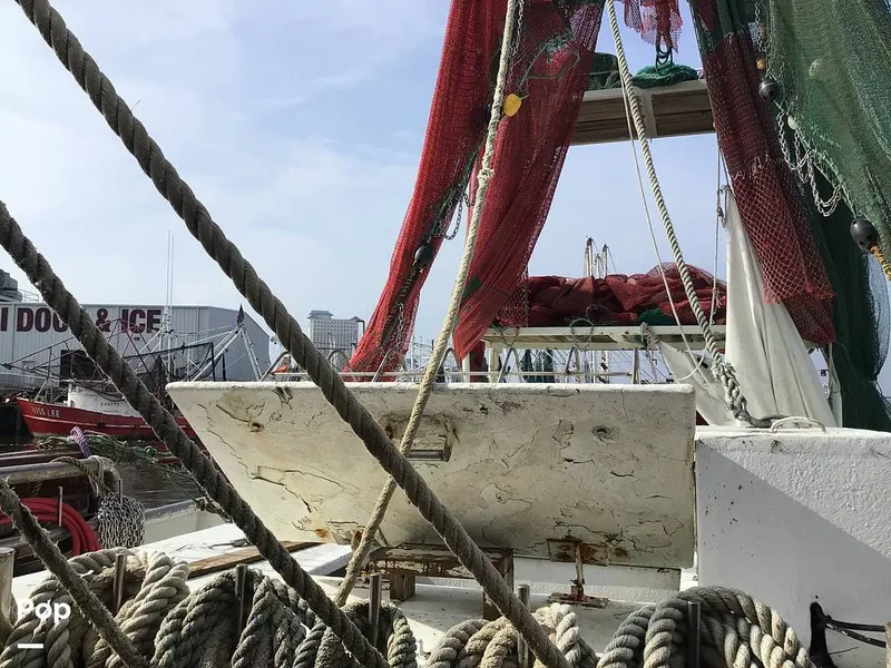 Slide: The Image of Rodriguez 81 1986 - 13665598