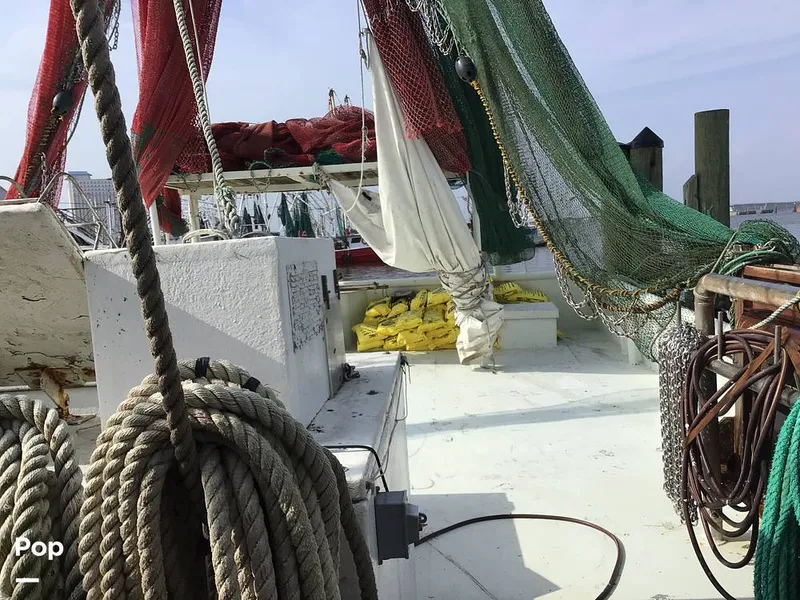 Slide: The Image of Rodriguez 81 1986 - 13665599