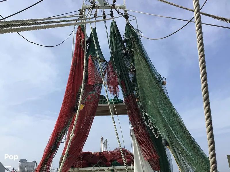 Slide: The Image of Nets - 13665753