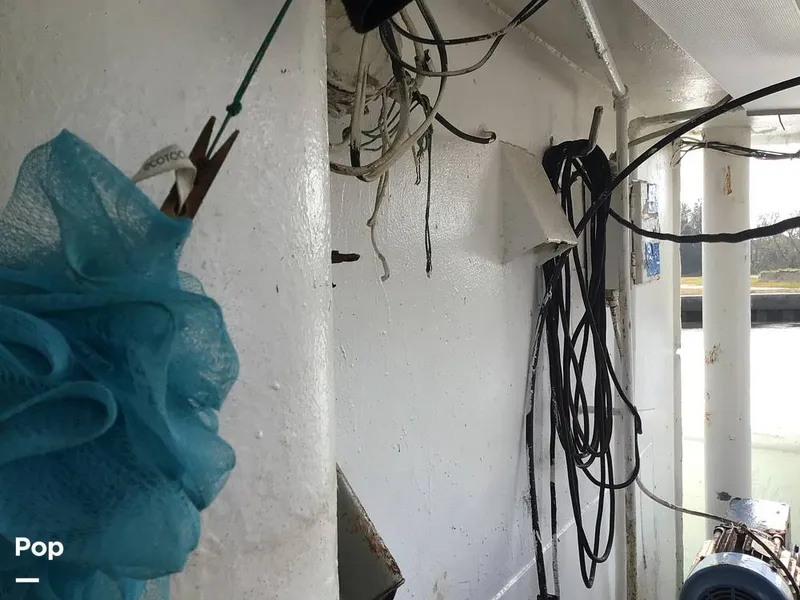 Slide: The Image of Rodriguez 81 1986 - 13665756