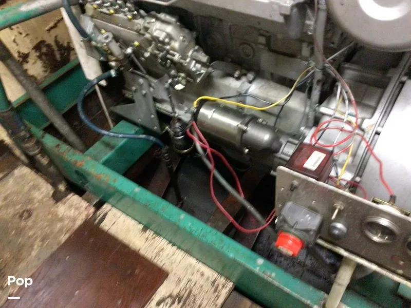 Slide: The Image of Rodriguez 81 1986 - 13665764