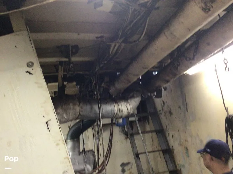 Slide: The Image of Rodriguez 81 1986 - 13665767