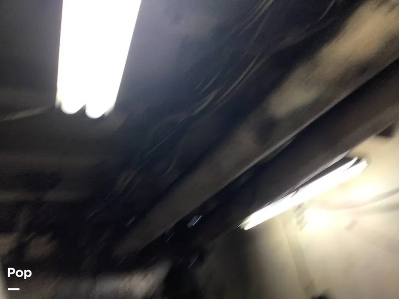 Slide: The Image of Rodriguez 81 1986 - 13665768