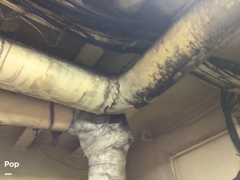 Slide: The Image of Rodriguez 81 1986 - 13665769