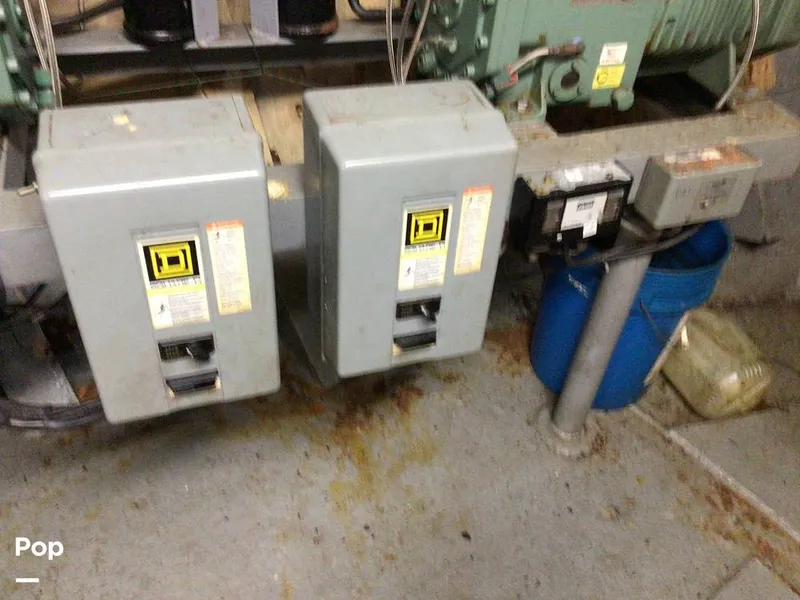 Slide: The Image of Rodriguez 81 1986 - 13665807