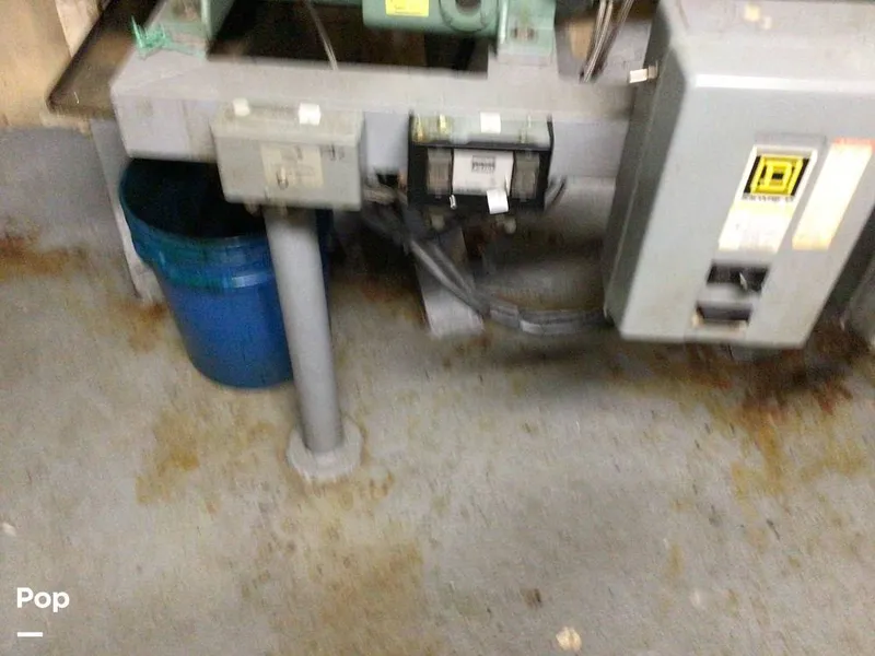 Slide: The Image of Rodriguez 81 1986 - 13665808