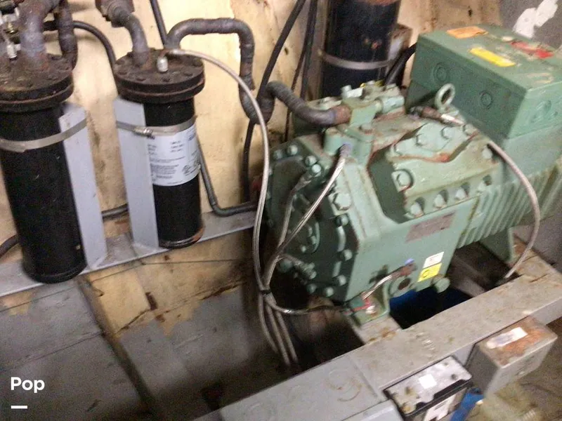 Slide: The Image of Rodriguez 81 1986 - 13665816