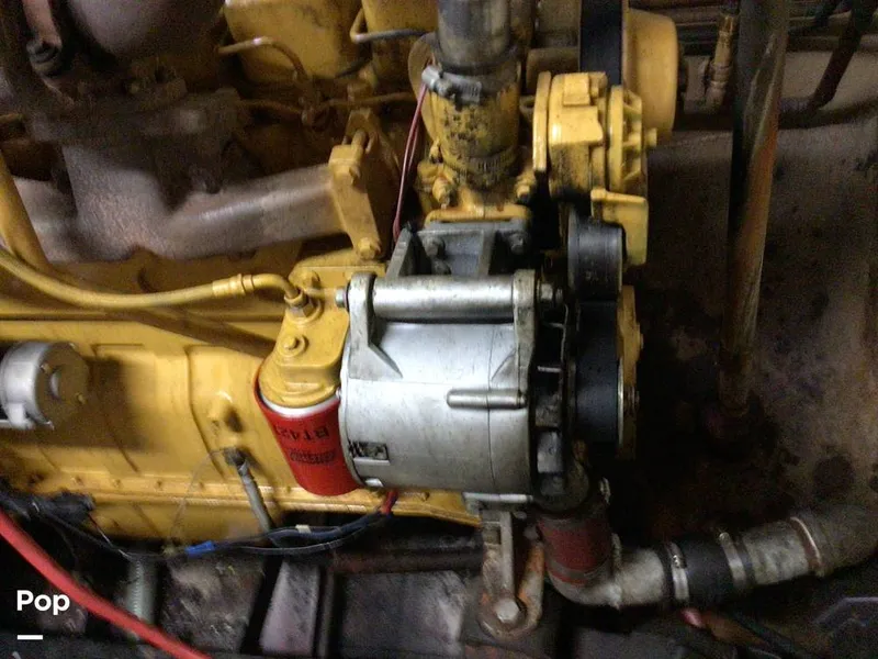 Slide: The Image of Rodriguez 81 1986 - 13665820