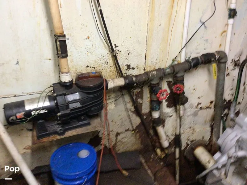 Slide: The Image of Rodriguez 81 1986 - 13665838