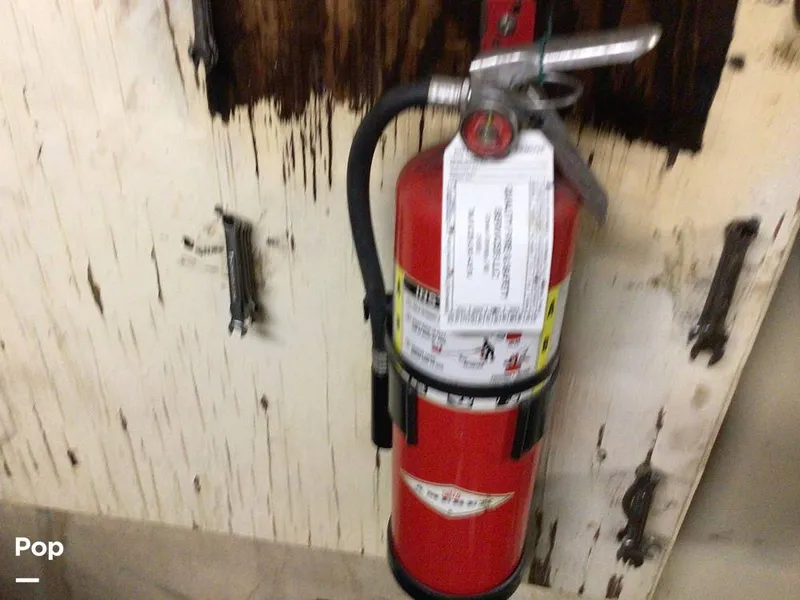 Slide: The Image of Rodriguez 81 1986 - 13665850