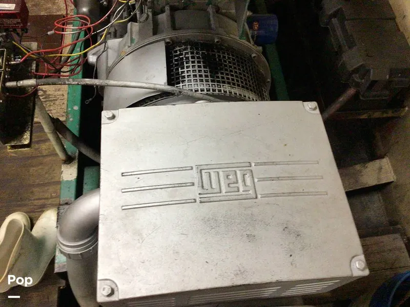 Slide: The Image of Rodriguez 81 1986 - 13665852