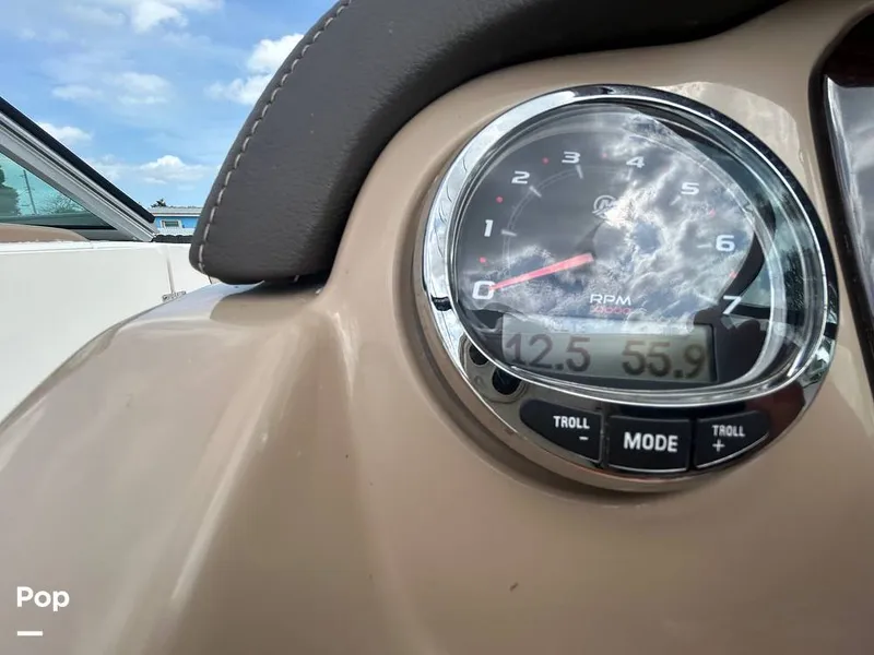 Slide: The Image of Just 56 Hours! - 13911329