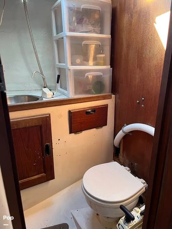 Slide: The Image of Head - 13663188