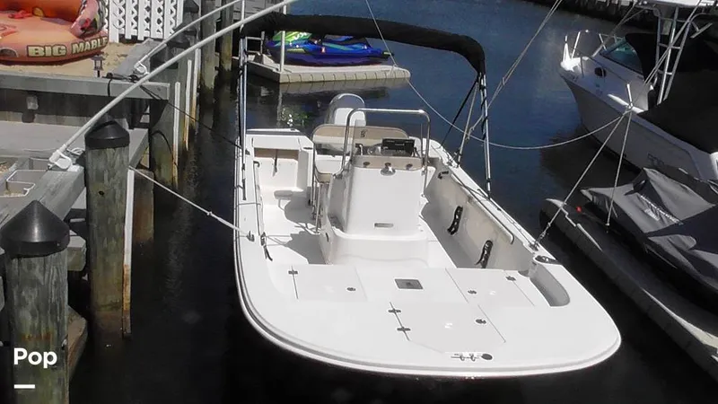 The Image of Carolina 17LS 2021 - 15826245