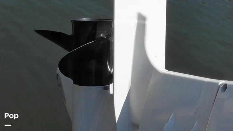 Slide: The Image of Carolina 17LS 2021 - 15826289