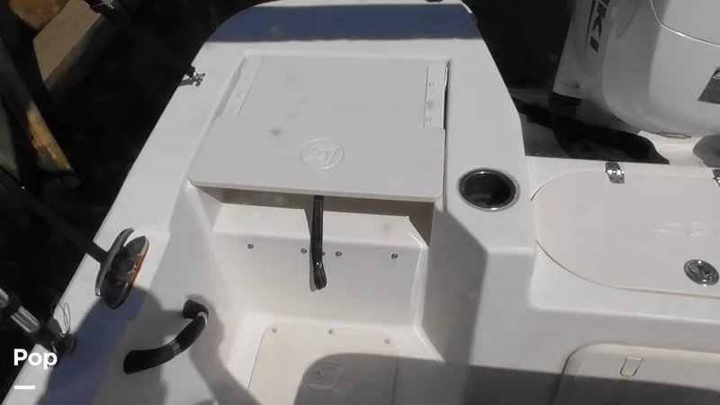 Slide: The Image of Carolina 17LS 2021 - 15826290