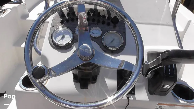 Slide: The Image of Carolina 17LS 2021 - 15826303