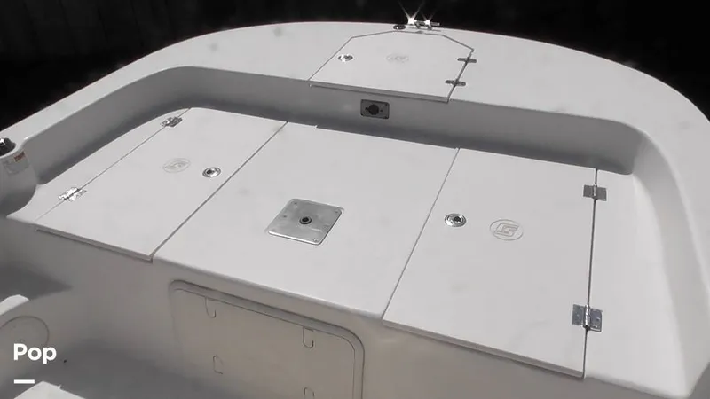 Slide: The Image of Carolina 17LS 2021 - 15826308