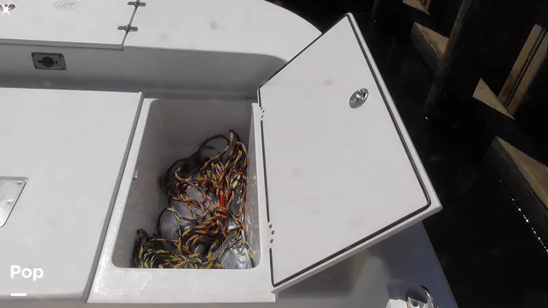 Slide: The Image of Carolina 17LS 2021 - 15826309