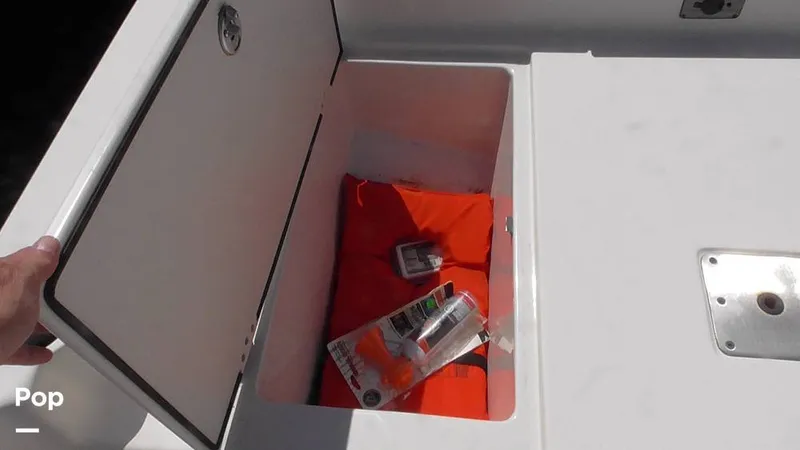 Slide: The Image of Carolina 17LS 2021 - 15826310