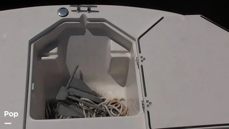 Slide: The Image of Carolina 17LS 2021 - 15826318