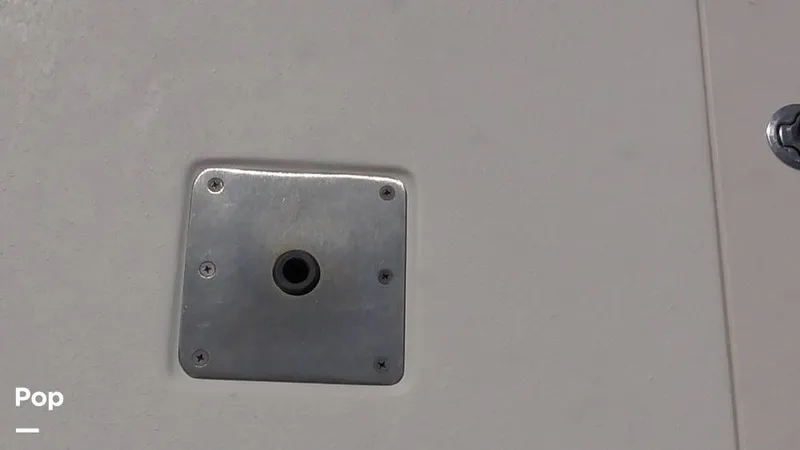 Slide: The Image of Carolina 17LS 2021 - 15826320