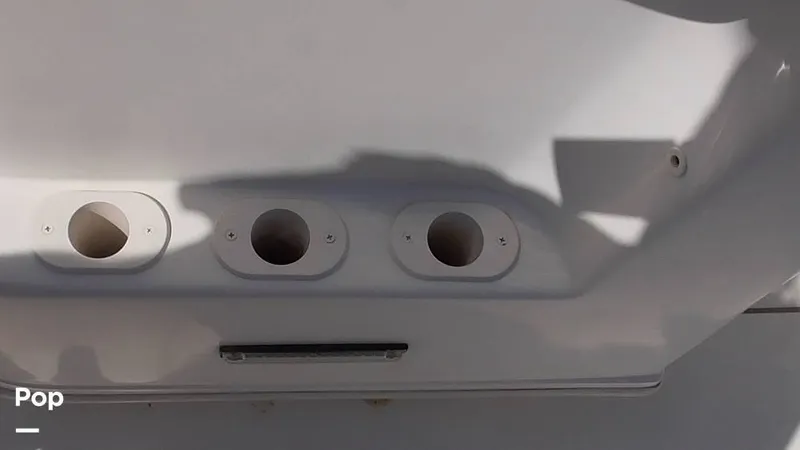 Slide: The Image of Carolina 17LS 2021 - 15826321