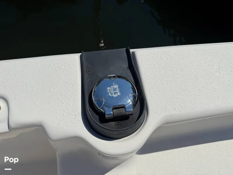 Slide: The Image of Carolina 17LS 2021 - 15826323