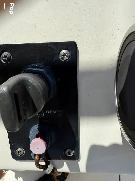 Slide: The Image of Carolina 17LS 2021 - 15949798