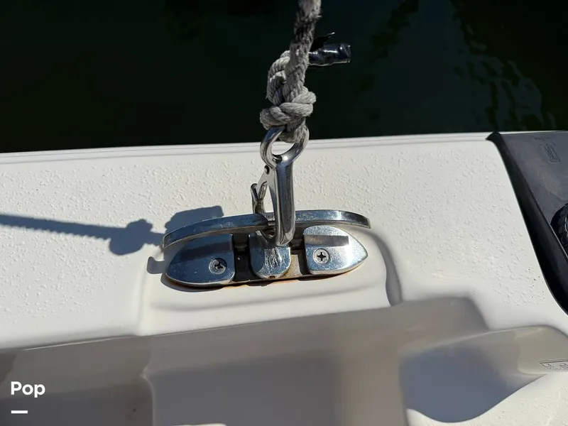 Slide: The Image of Carolina 17LS 2021 - 15826328