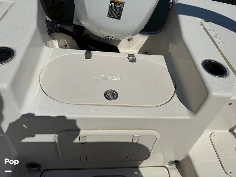 Slide: The Image of Carolina 17LS 2021 - 15826330