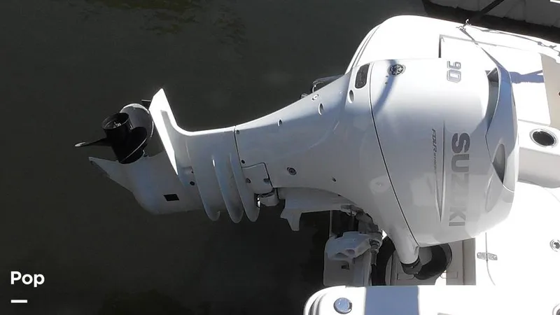 Slide: The Image of Carolina 17LS 2021 - 15826278