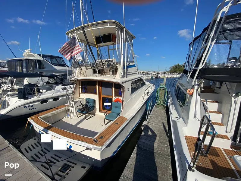 The Image of Pacemaker 37 1990 - 16056667